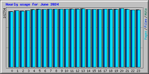 Hourly usage for June 2024