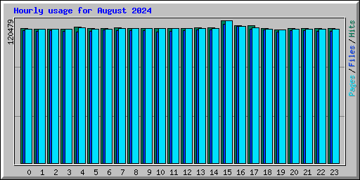 Hourly usage for August 2024