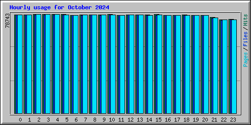 Hourly usage for October 2024